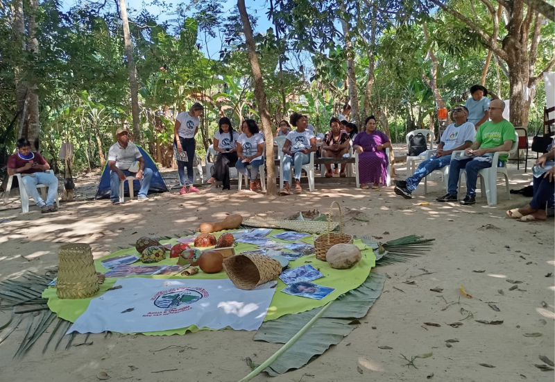 Territórios em luta: comunidades tradicionais e movimentos sociais discutem os impactos da Hidrovia Araguaia-Tocantins na Ilha de São Vicente