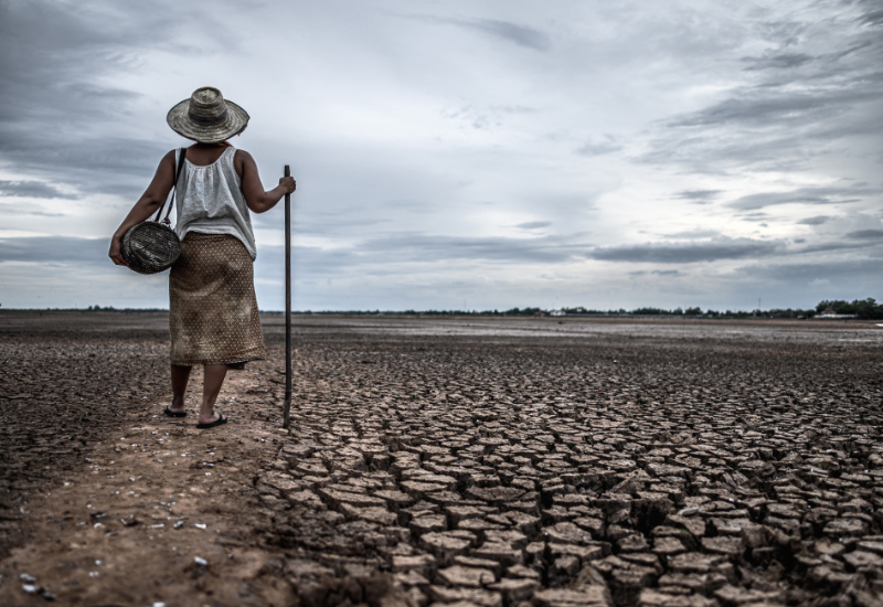 MEDHTO atua como defesa ativa e estratégica dos direitos humanos no Tocantins
